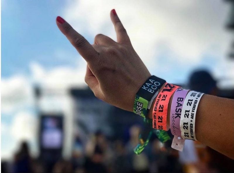 Promo code Kaaboo VIP Passes